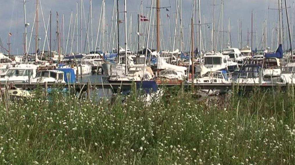 gillejele.jpg