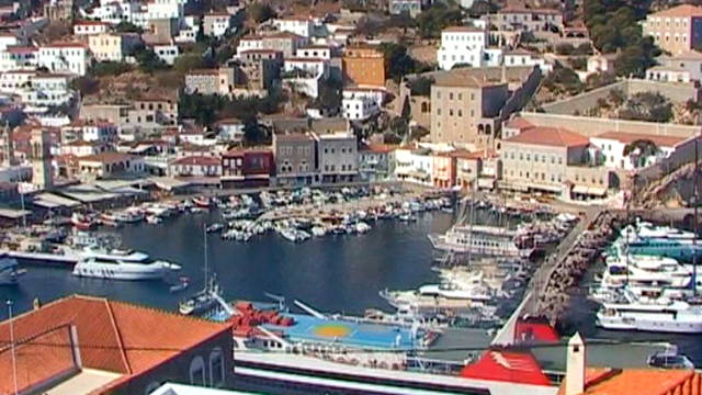 hydra.jpg
