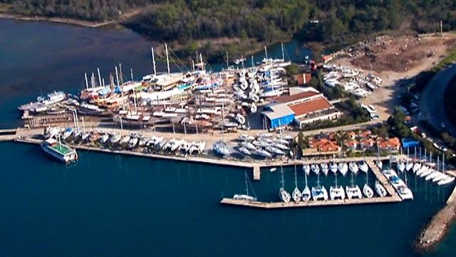 albatros_marina.jpg