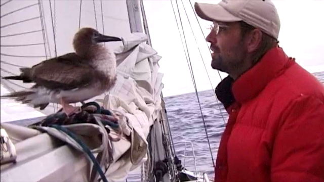 Vorschaubild zu „Die See gehört mir“ von Uwe Röttgering